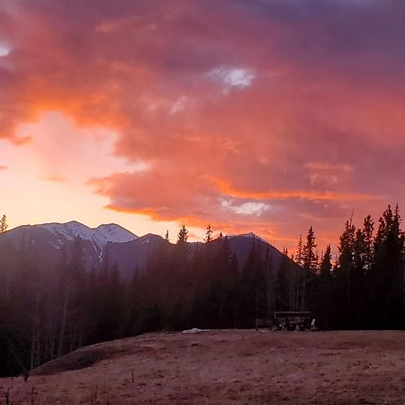 Rocky Mountain Escape Dome & Log Cabin Rentals - Rock Lake Rock Lake Lodge Provincial Park Экстерьер фото