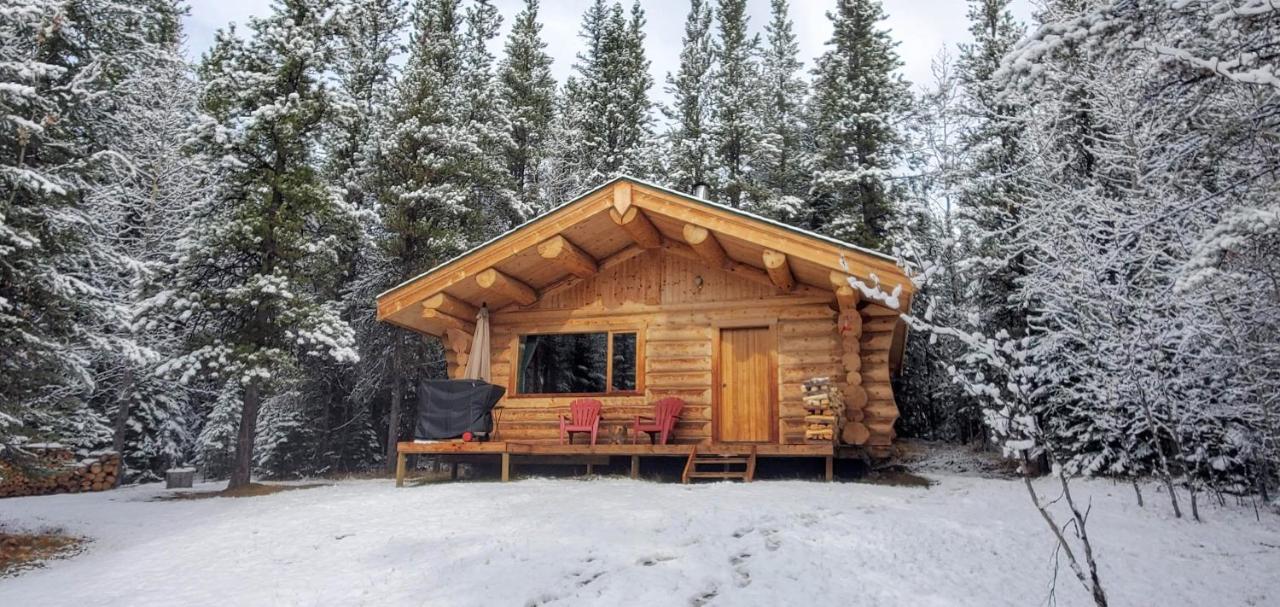 Rocky Mountain Escape Dome & Log Cabin Rentals - Rock Lake Rock Lake Lodge Provincial Park Экстерьер фото