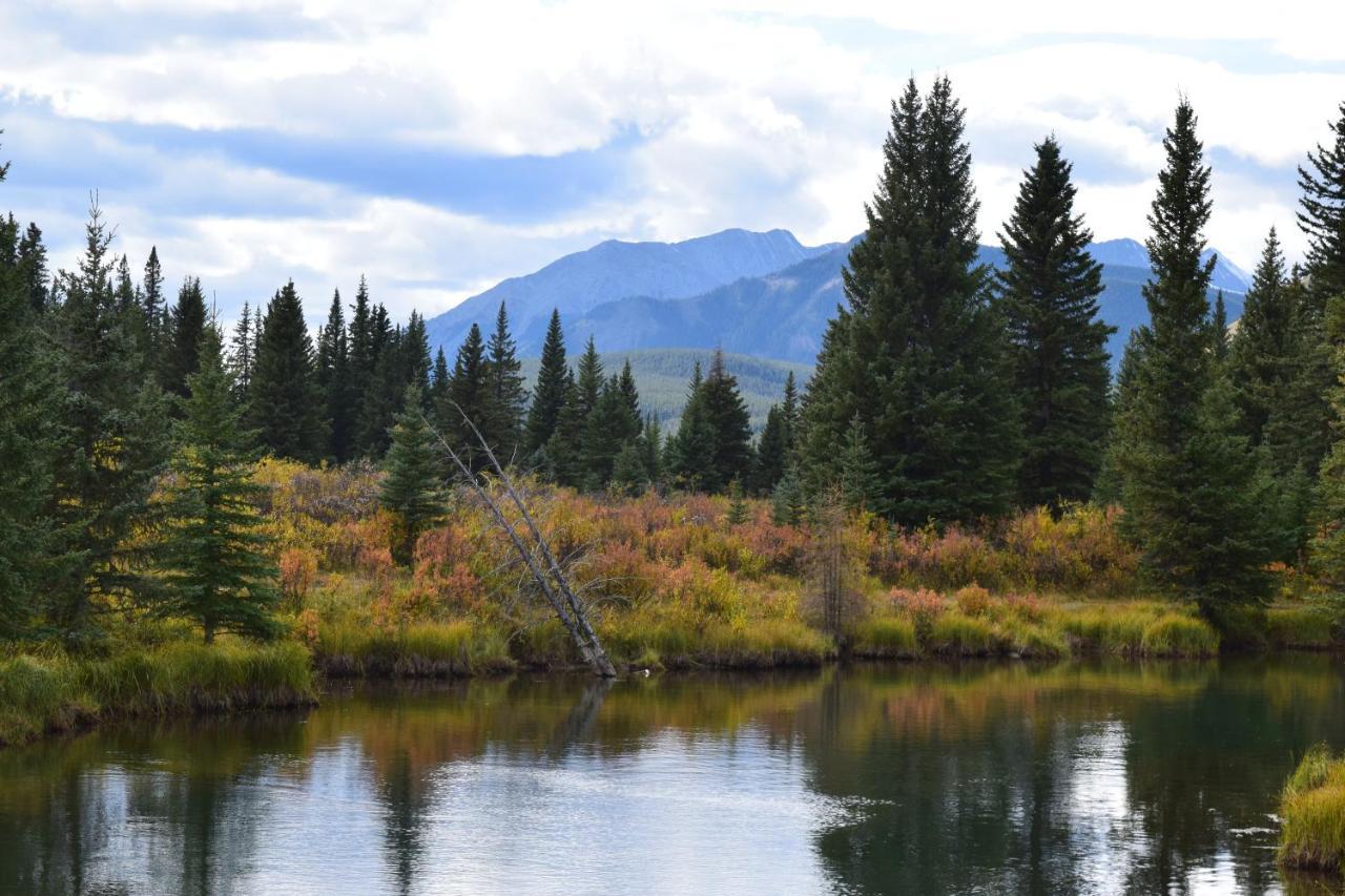 Rocky Mountain Escape Dome & Log Cabin Rentals - Rock Lake Rock Lake Lodge Provincial Park Экстерьер фото