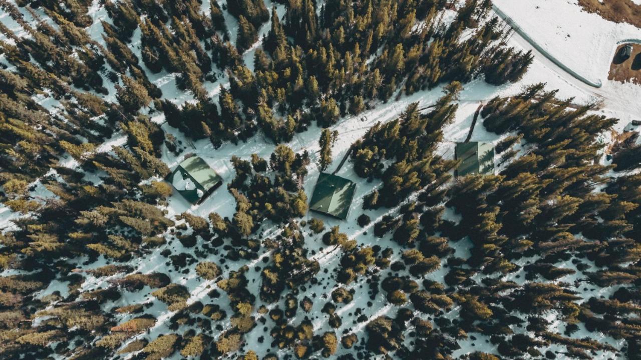 Rocky Mountain Escape Dome & Log Cabin Rentals - Rock Lake Rock Lake Lodge Provincial Park Экстерьер фото