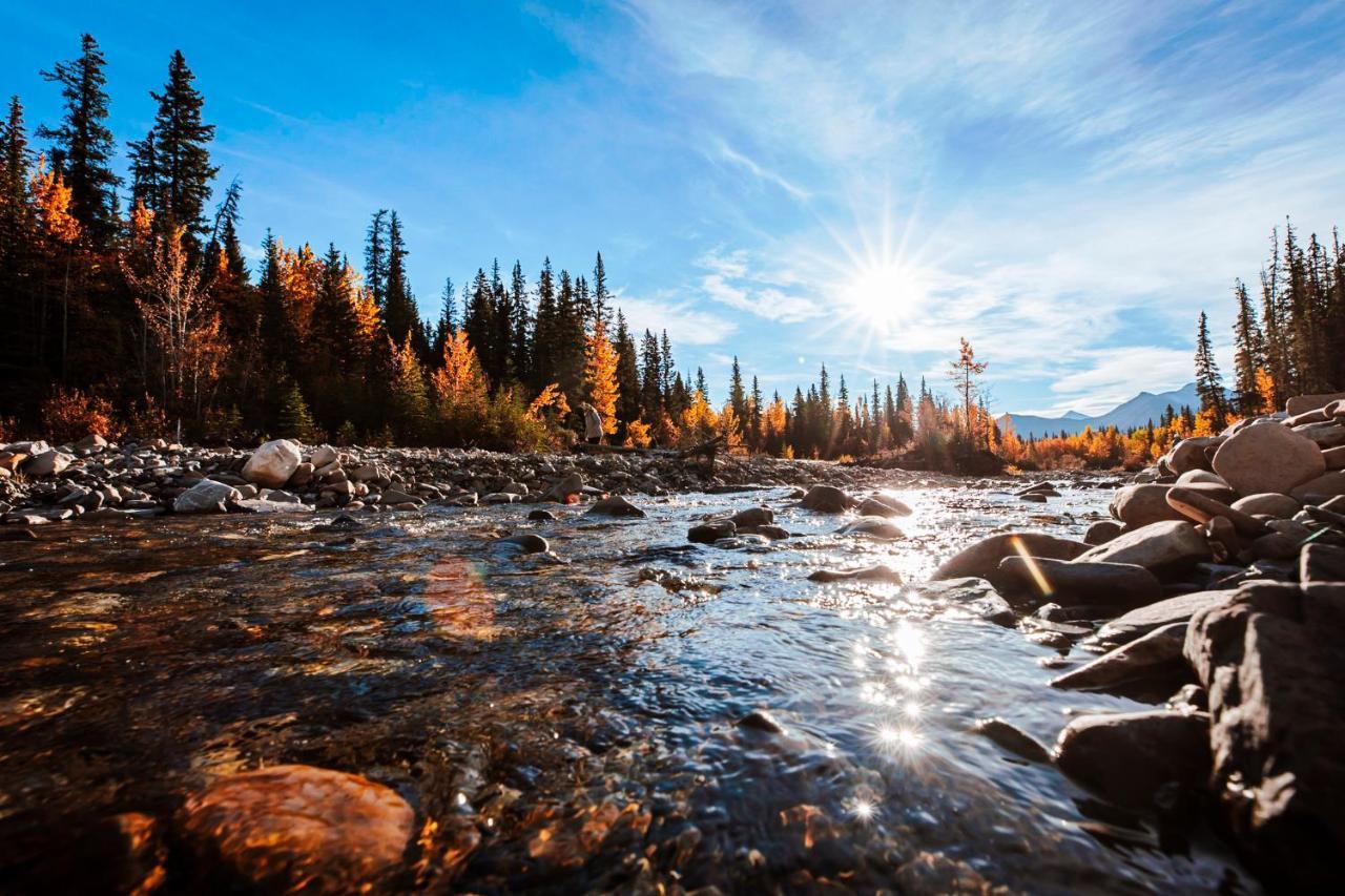 Rocky Mountain Escape Dome & Log Cabin Rentals - Rock Lake Rock Lake Lodge Provincial Park Экстерьер фото