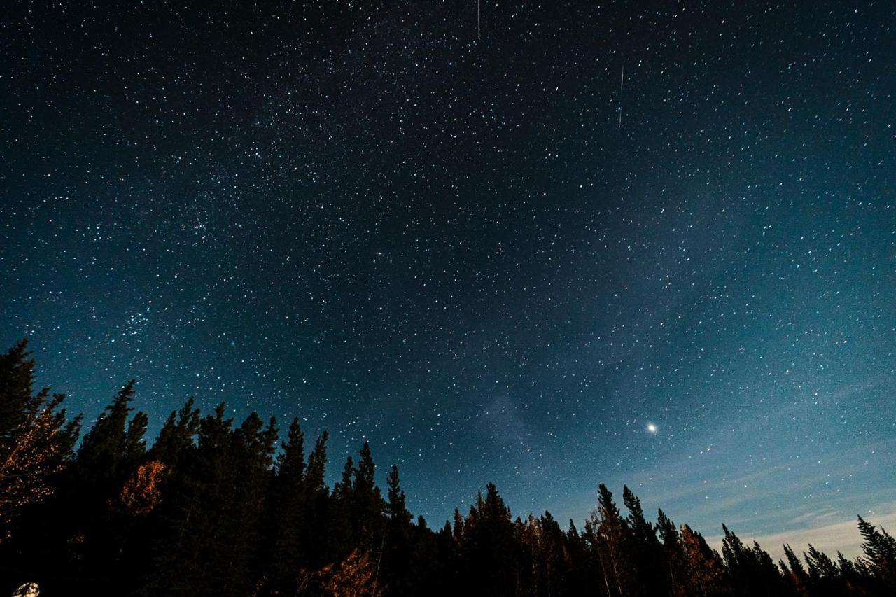 Rocky Mountain Escape Dome & Log Cabin Rentals - Rock Lake Rock Lake Lodge Provincial Park Экстерьер фото