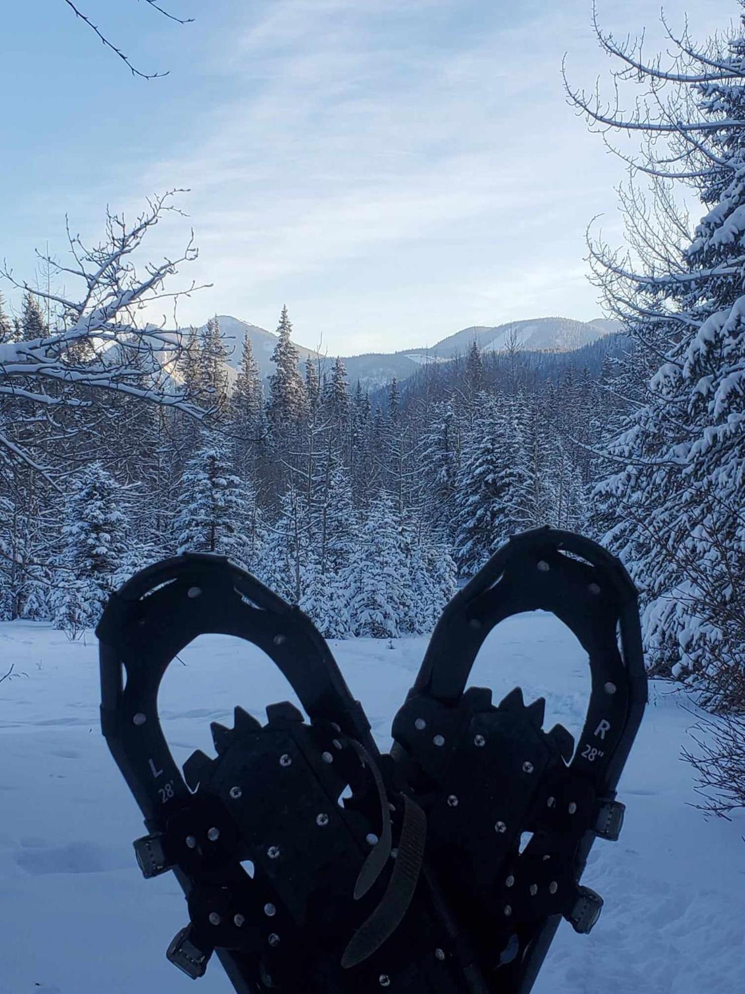 Rocky Mountain Escape Dome & Log Cabin Rentals - Rock Lake Rock Lake Lodge Provincial Park Экстерьер фото